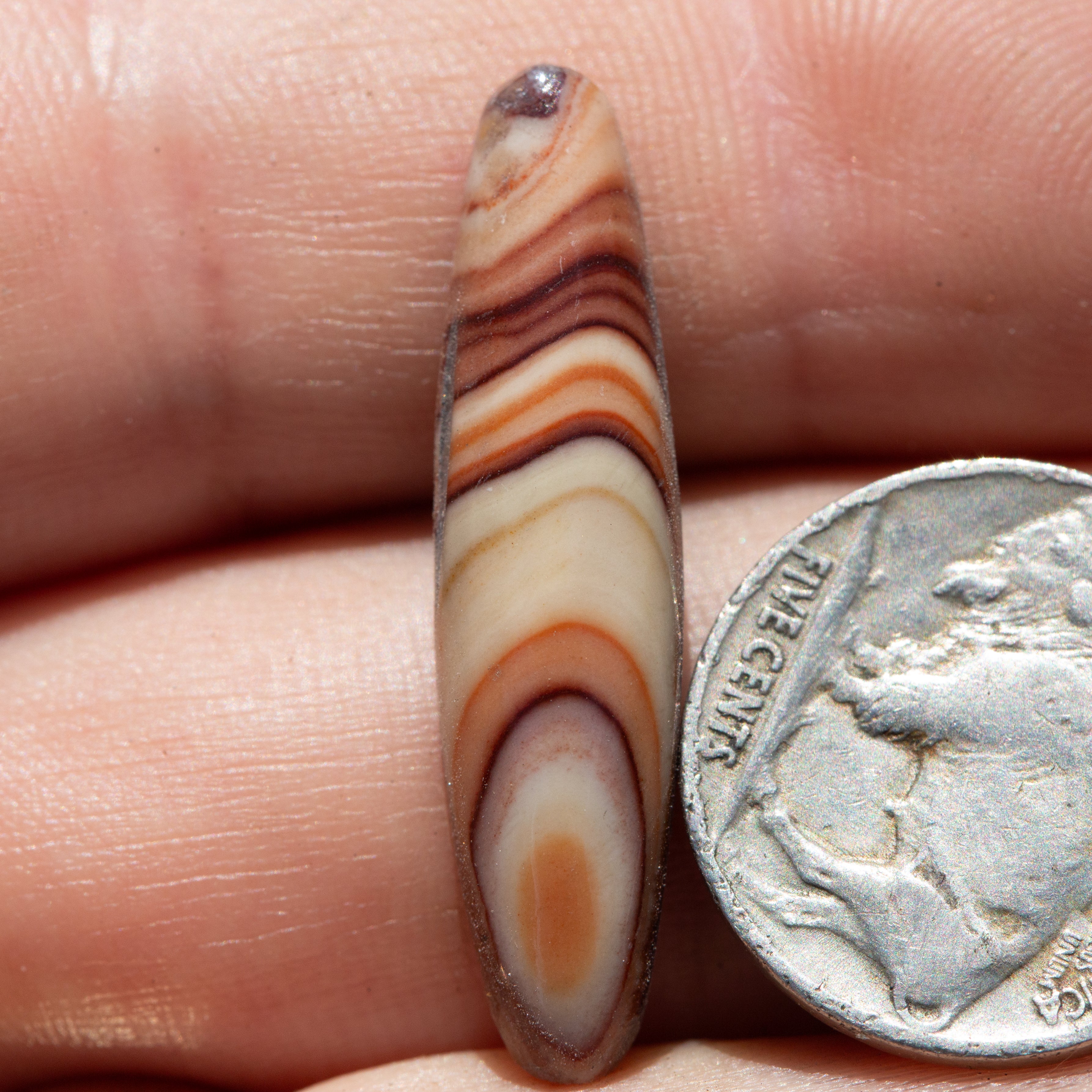 Elongated Oval Shaped Rolling Hills Dolomite Cabochon