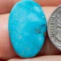 Oval Shaped Natural Candelaria Hills Turquoise Cabochon