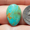 Teardrop Shaped Kingman Ceremonial Turquoise Cabochon