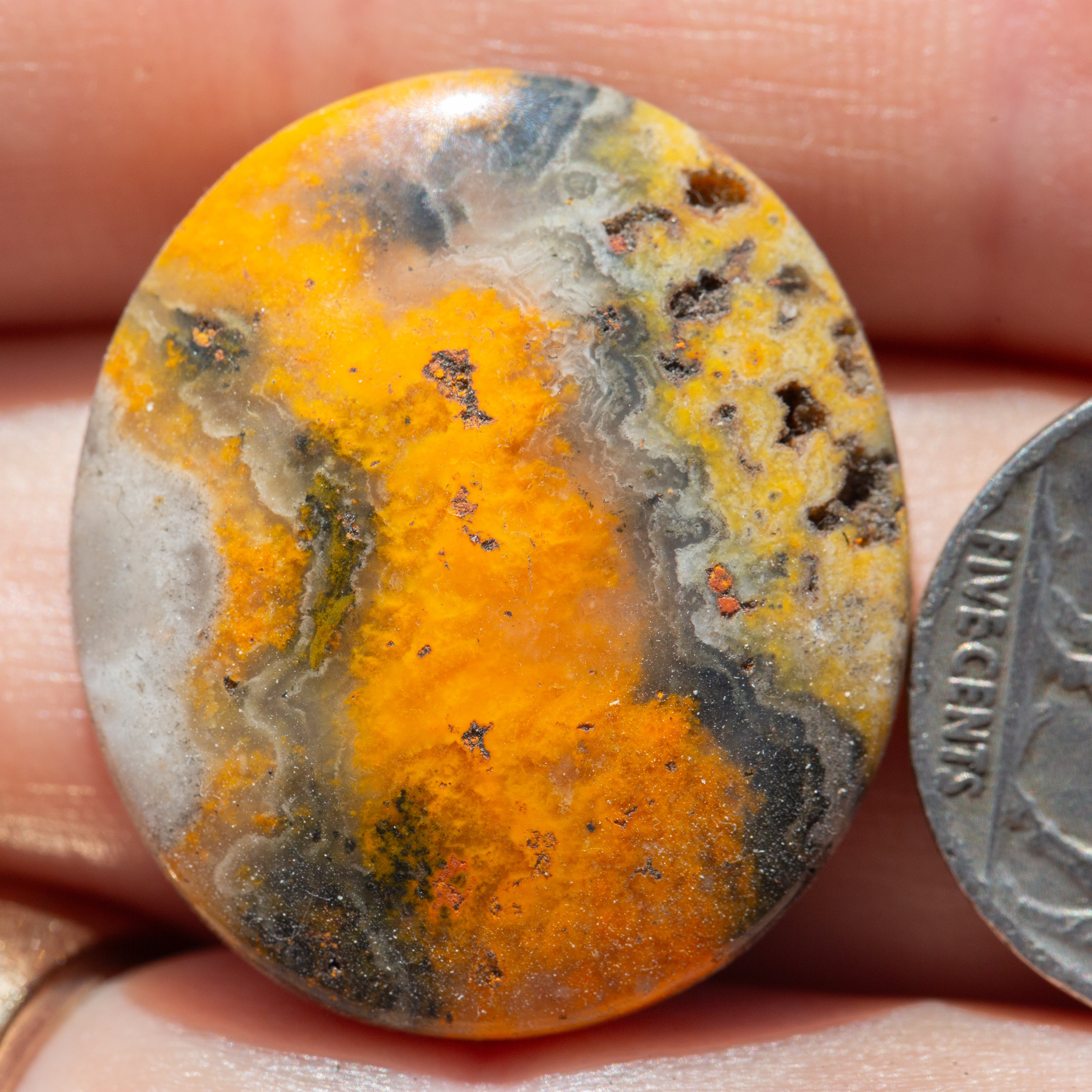 Oval Shaped Natural Bumblebee Jasper Cabochon