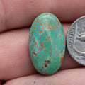 Oval Shaped Turquoise Mountain Hardy Pit Cabochon