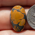 Oval Shaped Spiderweb Blackjack Turquoise Cabochon