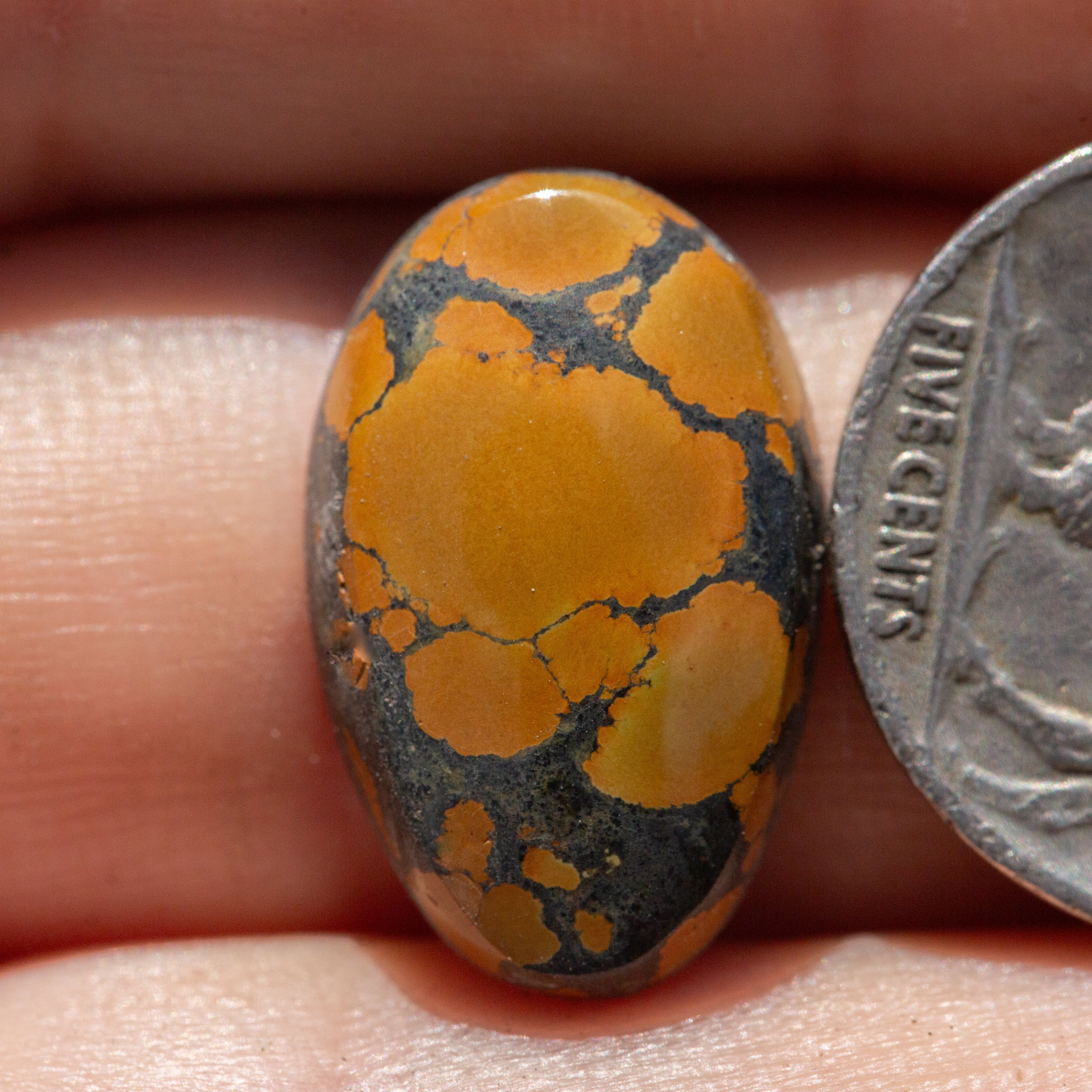 Oval Shaped Spiderweb Blackjack Turquoise Cabochon