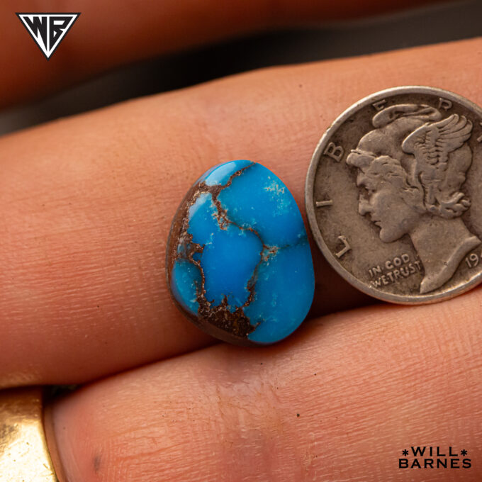 High Grade Egyptian Turquoise Cabochon (s.) 15 x 12